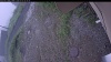 Web Cam Image - Fri, 07/03/2026 4:19am PDT