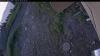 Web Cam Image - Mon, 07/06/2026 4:44am PDT