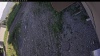 Web Cam Image - Tue, 06/23/2026 4:54pm PDT