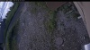 Web Cam Image - Wed, 07/08/2026 6:14am PDT