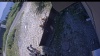Web Cam Image - Fri, 08/07/2026 1:04pm PDT