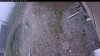 Web Cam Image - Sun, 05/24/2026 5:59am PDT