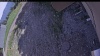 Web Cam Image - Mon, 06/01/2026 3:39pm PDT