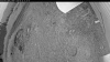 Web Cam Image - Thu, 06/25/2026 6:04pm PDT