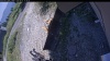 Web Cam Image - Fri, 08/07/2026 12:54pm PDT