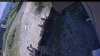 Web Cam Image - Sat, 08/08/2026 1:19pm PDT