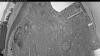 Web Cam Image - Tue, 05/19/2026 4:09am PDT