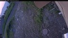 Web Cam Image - Mon, 07/06/2026 4:24am PDT
