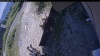 Web Cam Image - Sat, 08/08/2026 1:14pm PDT