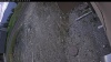 Web Cam Image - Sun, 05/10/2026 6:19pm PDT