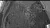 Web Cam Image - Sun, 07/05/2026 3:39am PDT