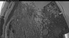 Web Cam Image - Sun, 07/05/2026 3:34am PDT