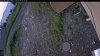 Web Cam Image - Mon, 07/06/2026 4:09am PDT
