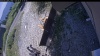 Web Cam Image - Sat, 08/08/2026 12:54pm PDT