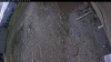 Web Cam Image - Sun, 05/10/2026 5:59pm PDT
