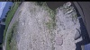 Web Cam Image - Sun, 06/21/2026 11:04am PDT