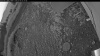 Web Cam Image - Mon, 07/06/2026 3:59am PDT