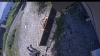 Web Cam Image - Sat, 08/08/2026 12:49pm PDT