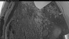Web Cam Image - Sun, 07/05/2026 3:14am PDT