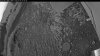 Web Cam Image - Mon, 07/06/2026 3:54am PDT