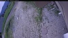 Web Cam Image - Thu, 06/25/2026 5:19pm PDT