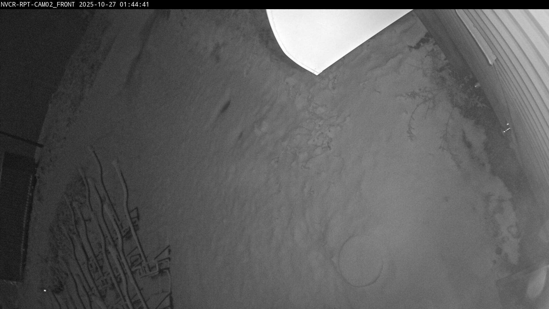 Web Cam History Image - 270