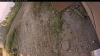 Web Cam Image - Wed, 09/03/2025 6:09am PDT
