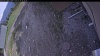 Web Cam Image - Wed, 05/20/2026 3:34pm PDT