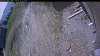 Web Cam Image - Thu, 05/21/2026 11:04am PDT