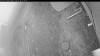 Web Cam Image - Wed, 05/06/2026 4:19am PDT