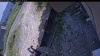 Web Cam Image - Mon, 07/13/2026 12:39pm PDT