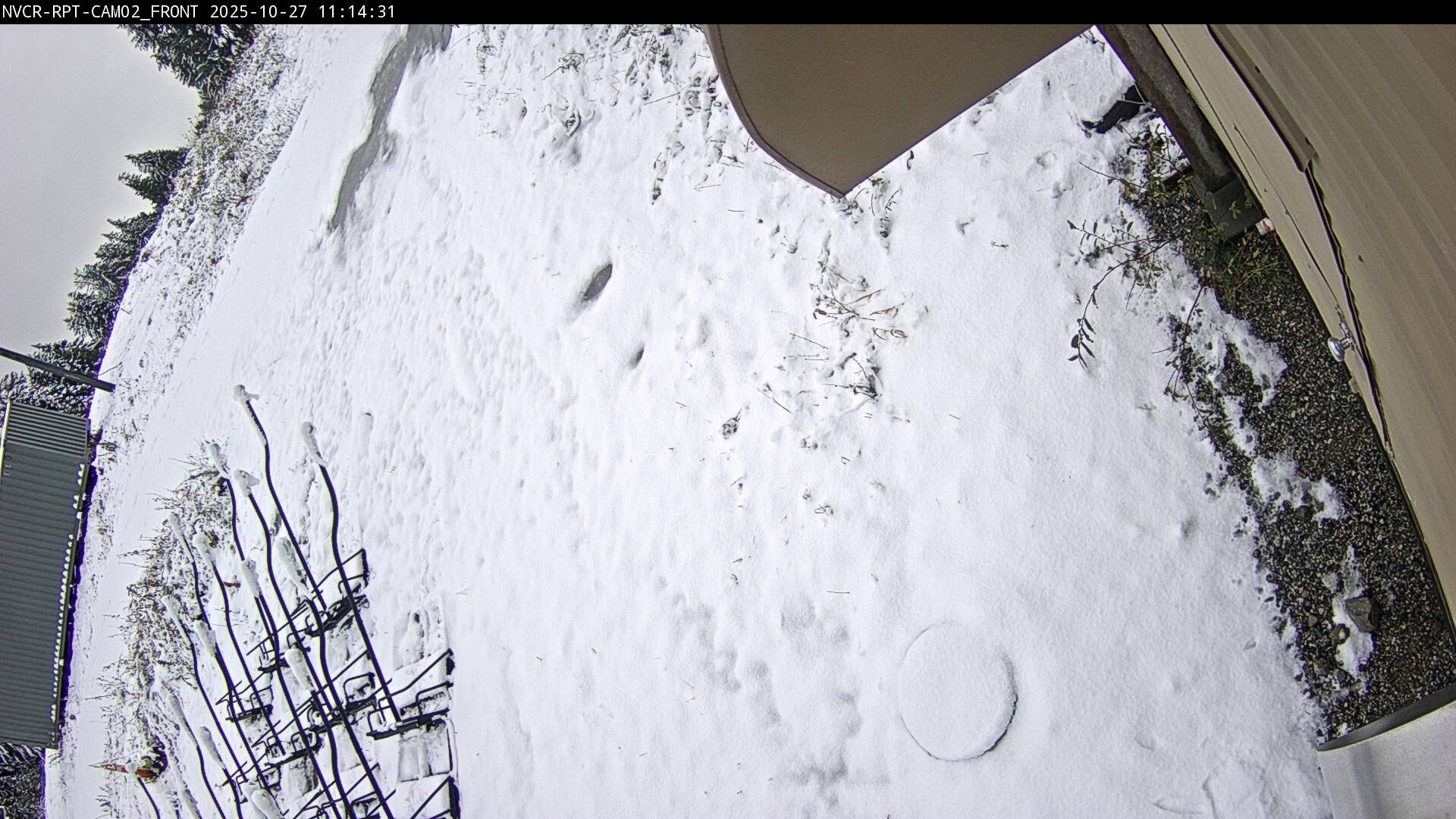 Web Cam History Image - 271