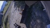 Web Cam Image - Sat, 09/12/2026 9:54am PDT