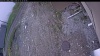 Web Cam Image - Wed, 05/13/2026 2:44pm PDT