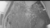 Web Cam Image - Fri, 07/03/2026 3:04am PDT