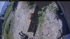 Web Cam Image - Fri, 08/07/2026 11:54am PDT