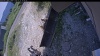 Web Cam Image - Mon, 07/13/2026 12:24pm PDT