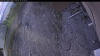 Web Cam Image - Sun, 05/10/2026 5:19pm PDT