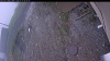 Web Cam Image - Fri, 05/15/2026 7:19am PDT