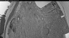 Web Cam Image - Sat, 05/16/2026 4:19am PDT