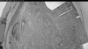 Web Cam Image - Fri, 05/22/2026 8:04pm PDT