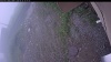 Web Cam Image - Fri, 06/26/2026 5:19pm PDT