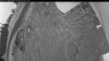 Web Cam Image - Sat, 05/16/2026 4:14am PDT