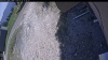 Web Cam Image - Fri, 05/22/2026 12:44pm PDT
