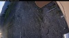 Web Cam Image - Tue, 05/12/2026 4:59am PDT