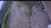 Web Cam Image - Thu, 06/25/2026 4:34pm PDT