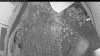 Web Cam Image - Fri, 07/03/2026 2:34am PDT