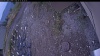 Web Cam Image - Sun, 10/12/2025 3:49pm PDT