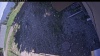 Web Cam Image - Thu, 05/28/2026 4:09pm PDT