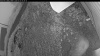 Web Cam Image - Fri, 07/03/2026 2:29am PDT